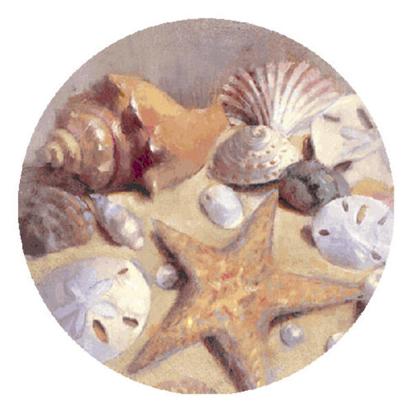 Thirstystone Sea Shell Coaster Set - image 