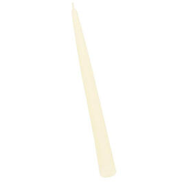 Root Candles 12in. Taper Candle - Ivory