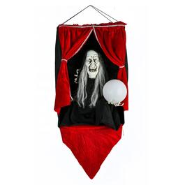 National Tree 28in. Animated Halloween Fortune Teller Wall Decor