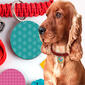 Chalk N Chuckles Pawfect Gifts Kit - image 3