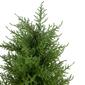 Northlight Seasonal 3ft. Artificial Cedar Pine Arborvitae Tree - image 3