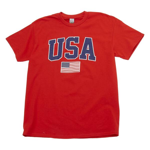Mens Patriotic Classic USA Flag Short Sleeve Graphic T-Shirt - image 