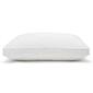 Sealy Down Alternative & Memory Foam Pillow - image 3
