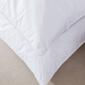 Firefly Twin Pack White Goose Feather Down Blend Pillow - image 3