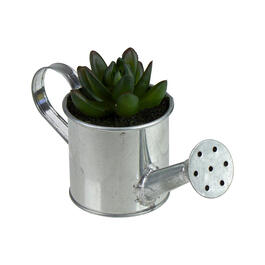 Northlight Seasonal 6" Mini Artificial Succulent in Watering Can