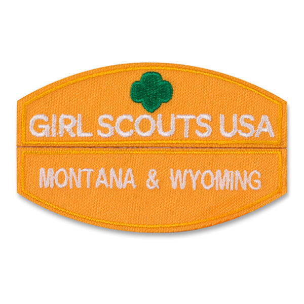 Girl Scouts Daisy Nations Capital Council ID Set - image 