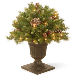 National Tree 24in. Pre-Lit Frosted Berry Porch Bush