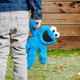 Sesame Street&#174; 13in. Cookie Monster Take Along Plush