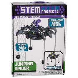STEM Projects Stem Spider
