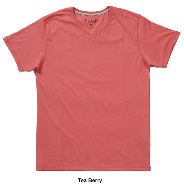 Young Mens Jared Short Sleeve V-Neck Tee