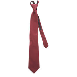 Mens Architect&#40;R&#41; Sateen Solid Zipper Tie
