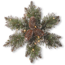 National Tree 14in. Glittery Bristle&#40;R&#41; Pine LED Snowflake