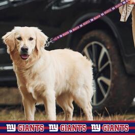 NFL New York Giants Dog Leash