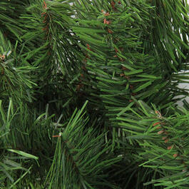 Northlight Seasonal 7ft. Canadian Pine Christmas Swag