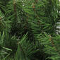 Northlight Seasonal 7ft. Canadian Pine Christmas Swag - image 2