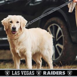 NFL Las Vegas Raiders Dog Leash
