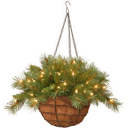 National Tree 20in. Pre-Lit LED Tiffany Fir Hanging Basket