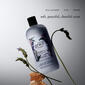 Philosophy Amazing Grace Lavender Shower Gel - image 3