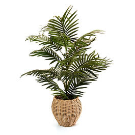 Life-Like Palm Plant In Wicker Look Basket