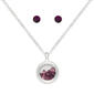 February Birthstone Shaker Necklace & Earrings Set - image 1
