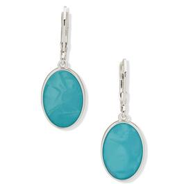 Gloria Vanderbilt Turquoise Oval Stone Drop Fishhook Earrings