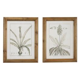 9th & Pike&#40;R&#41; Large Vintage Botanical Prints - Set of 2