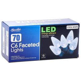 Sienna Cool White 70ct. LED Faceted C6 Christmas Lights