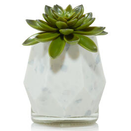 Yankee Candle(R) ScentPlug(R) Faceted Succulent Diffuser