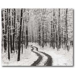 Courtside Market Snowy Country Road Wrapped Canvas Wall Art