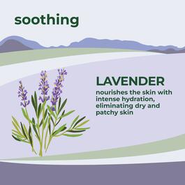 Petal Fresh Soothing Lavender Body Wash