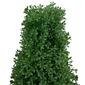 Northlight Seasonal 30in. Artificial Boxwood Cone Topiary Tree - image 3