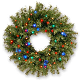 National Tree 24in. Pre-Lit LED Norwood Fir Wreath