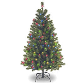National Tree 4.5ft. Pre-lit North Valley&#40;tm&#41; Spruce Tree
