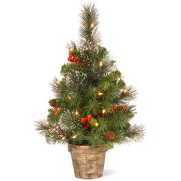 National Tree 2ft. Crestwood&#40;R&#41; Spruce Tree with Clear Lights