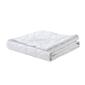 Waverly Antimicrobial Down Alternative Blanket - image 1