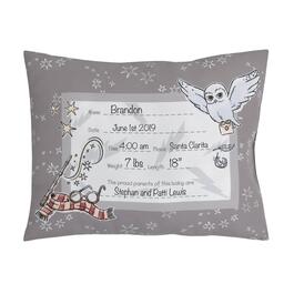 Warner Bros. Harry Potter Magical Moments Pillow - 8x11