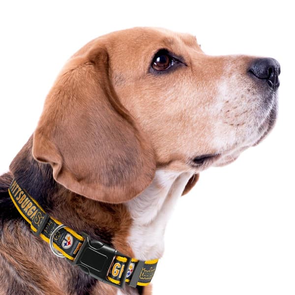 NFL Pittsburgh Steelers Dog Collar