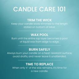 Yankee Candle® 22oz. Catching Rays Jar Candle