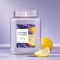 Yankee Candle&#40;R&#41; 22oz. Lemon Lavender Jar Candle - image 1
