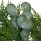 Northlight Seasonal 6ft. Eucalyptus Artificial Christmas Garland - image 5