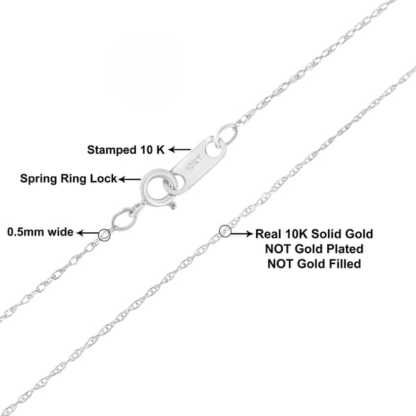 Gold Classics&#8482; 10kt. White Gold Rope Chain Necklace