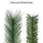 Puleo International 7.5ft. Unlit Colorado Pine Christmas Tree - image 5