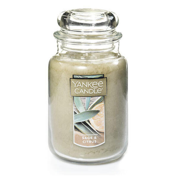 Yankee Candle&#40;R&#41; Sage & Citrus 22oz. Jar Candle - image 
