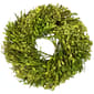 Northlight Seasonal 10in. Artificial Green Foliage Spring Wreath - image 1