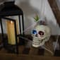 Northlight Seasonal 8.75in. LED Succulent Skull Planter - image 3