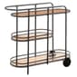 Sauder Coral Cape Modern Metal & Glass Bar Cart - image 1