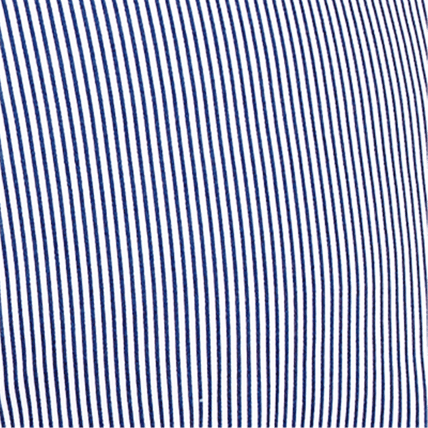 Plus Size Alfred Dunner Land of the Free Pinstripe Clamdiggers