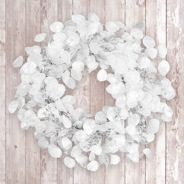 National Tree Winter Frost 24in. Artificial Christmas Wreath