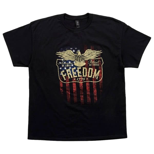 Mens Home of the Brave Freedom Patriot Eagle Graphic Tee - Black - image 