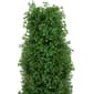 Northlight Seasonal 4ft. Pre-Lit Artificial Boxwood Topiary Tree - image 3